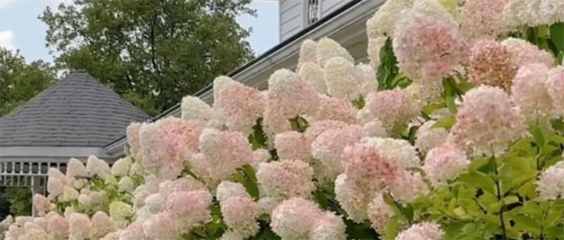 元素图 (5) 元素图 (5)